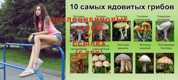 СК Балабаново