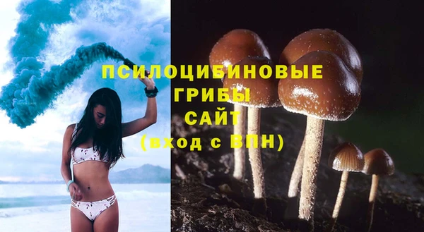 ПСИЛОЦИБИНОВЫЕ ГРИБЫ Балахна