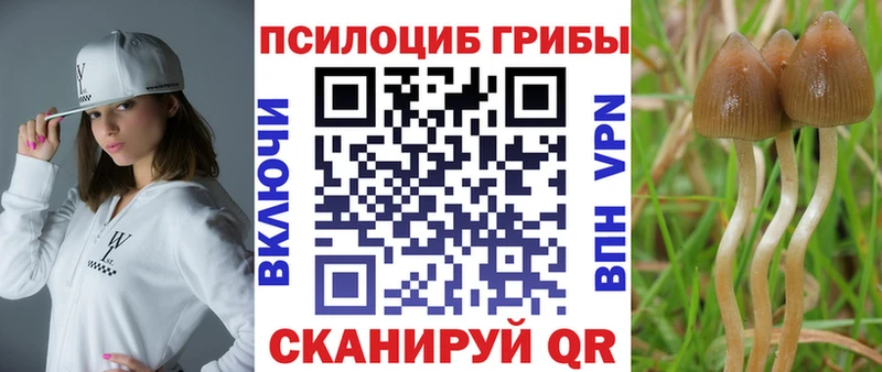 Галлюциногенные грибы Psilocybine cubensis  наркошоп  Феодосия 